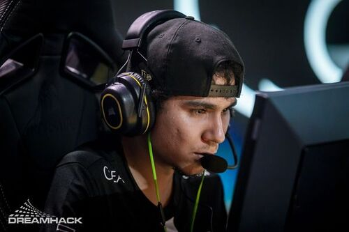 HEN1